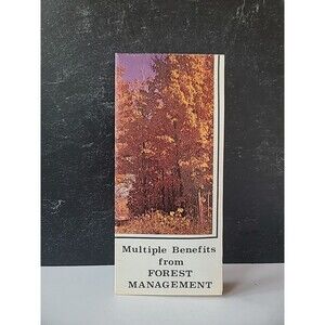 Wisconsin Department Of Natural Resources Multiple Benefits From Forest...